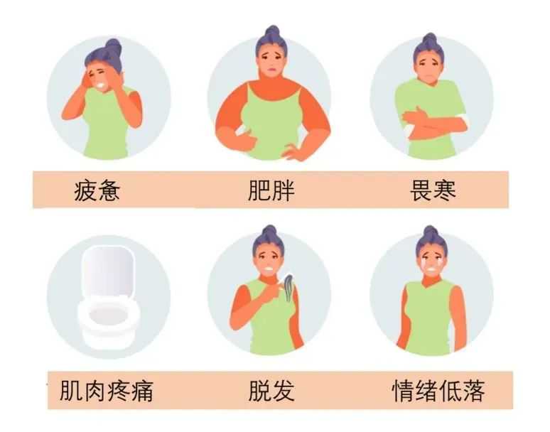 2023广东省能做供卵试管的机构排名前十的试管医院分享