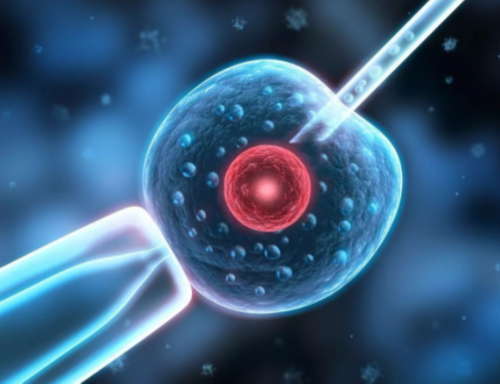 深圳哪家做供卵试管,深圳借卵试管机构成功率排名?附代怀生子机构名单?