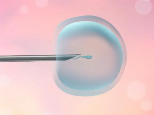 坤和助孕靠谱不_借卵试管代孕成功率高吗,宝宝发低烧怎么回事