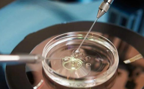 深圳供卵试管公司哪家好,深圳私立医院做借卵试管婴儿价格多少?费用因人而异