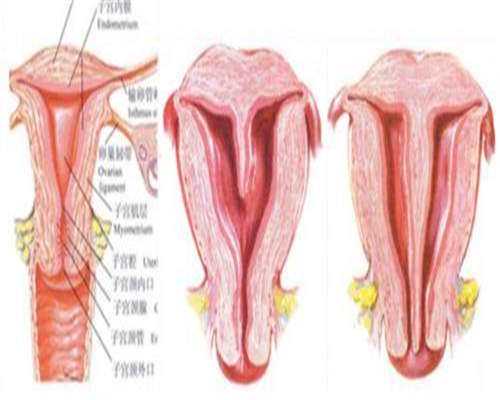 深圳供卵试管生儿子机构,深圳正式进入强制垃圾分类时代,不分类最高被罚5