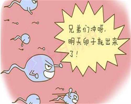 深圳供卵试管医疗机构,深圳公立医院做试管婴儿费用及*率一览