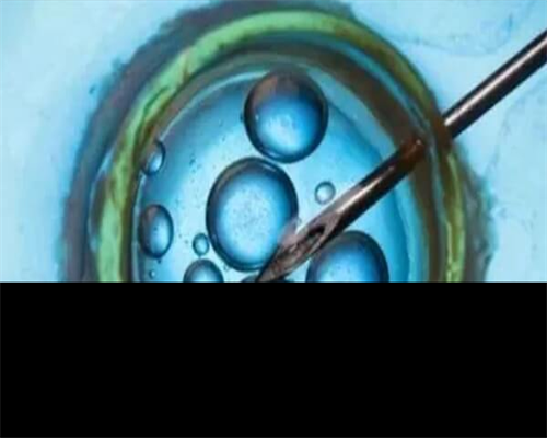 惠州旅游景点哪里好玩?打卡2026惠州必去景点排行