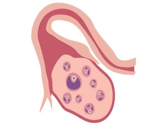 深圳私立医院供卵试管流程,深圳医院做试管医院排名第一?