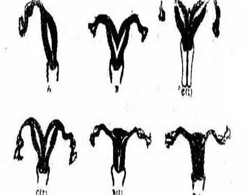 深圳中山试管多少钱