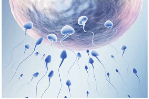 东莞三代试管机构有哪些？东莞十大试管医院排名？