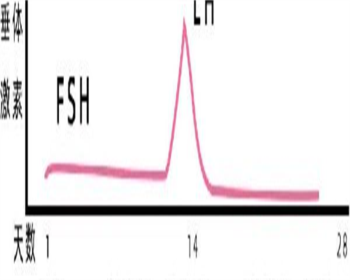 国内咨询代孕机构电话,肇庆比较出名的不孕不育医院排名已更新-肇庆最好的妇