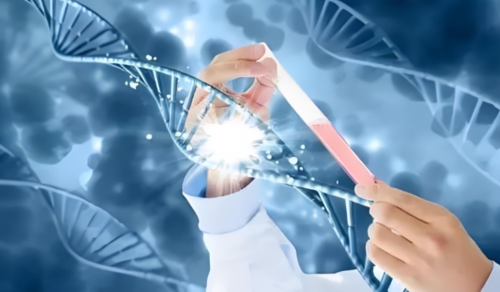 代孕包成功总费用_包生男孩医院,怀孕12周男孩表现(怀男孩雄性激素高表现)