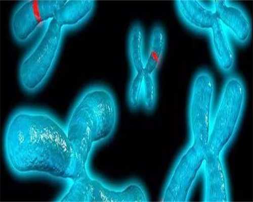 深圳哪里能找到供卵试管,深圳妇幼试管婴儿哪个医生好！深圳市妇幼保健院做