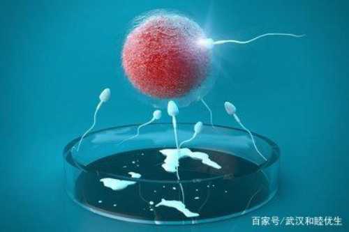 深圳试管婴儿医院排名有哪些较好?早知道早受益!