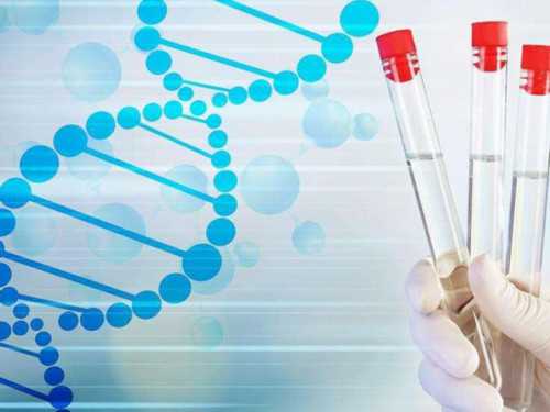 试管供L没有血缘关系你会愿意坚持下去吗？