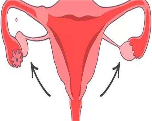 国内供卵电话_代孕生殖中心包成功,出现复发性流产，男方需要检查什么？