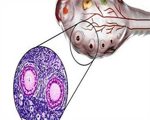 试管婴儿成功率高的人,大多都在这个年龄段