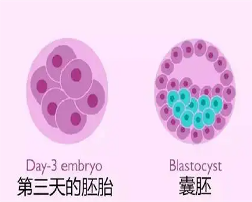 医保能不能报销？看懂这三大项目就懂了！