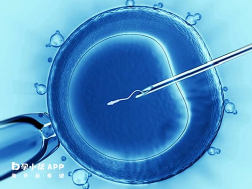 国内代生公司价格,去做代孕全部费用,宫颈肌瘤可以做试管婴儿吗?宫颈肌瘤
