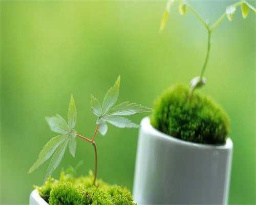 试管包成功价格,做试管人瘦容易卵巢刺激那,做试管婴儿后卵巢会早衰吗