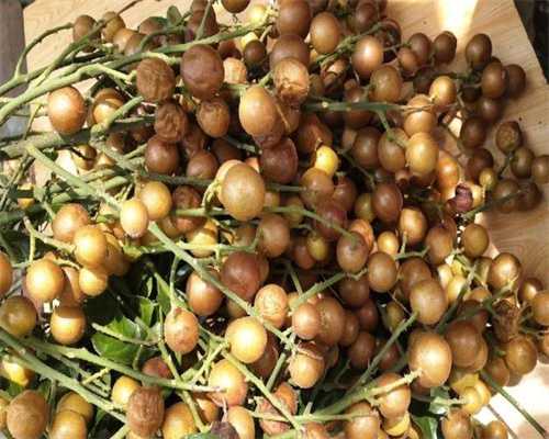 深圳地区有哪些私立的机构可以做试管技术?深圳私立试管婴儿成功率医院排名