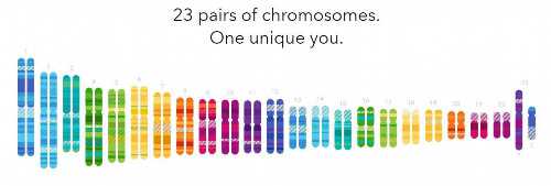 深圳哪有做供卵试管的公司,深圳三代试管比二代试管贵多少钱？深圳三代试管