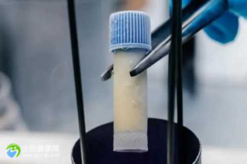 深圳选择供卵试管医院,深圳哪几家医院可以做试管(深圳哪个医院做试管婴儿成