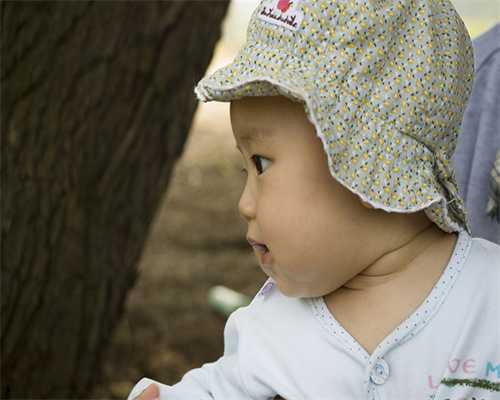 深圳中心生殖医院供卵试管,深圳人工试管医院排行(深圳试管婴儿成功率医院排