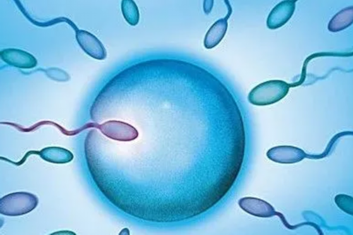 中国代孕公司&国内供卵哪里靠谱,女乙肝抗病毒期间可以做试管吗