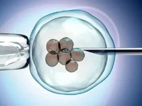 深圳三代试管的成功率有多高!深圳三代试管私立机构!