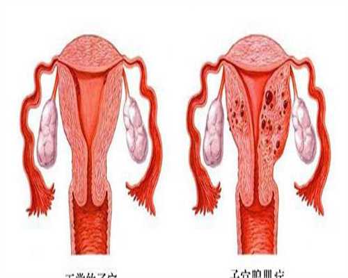 供卵代孕产子_正规试管代孕服务,胚胎移植着床时间？胚胎移植后着床时间？