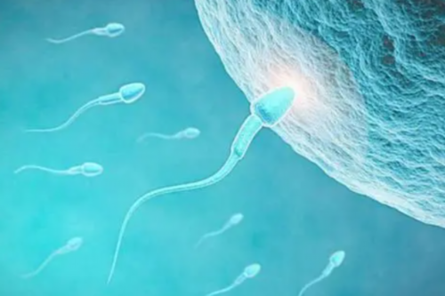 宝宝是否缺氧做试验（催产素激惹试验OCT）