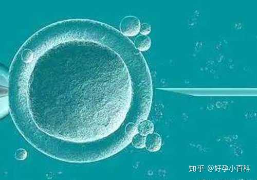 天津哪里有代生一孩子,2022天津三代试管婴儿医院排名，附天津三代生男孩医院