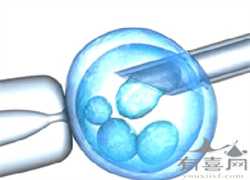 北京供卵代生男孩价格，北京北京协和医院做试管婴儿怎么样