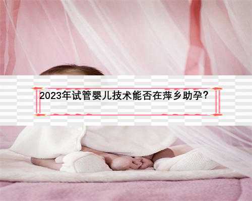 2023年试管婴儿技术能否在萍乡助孕？
