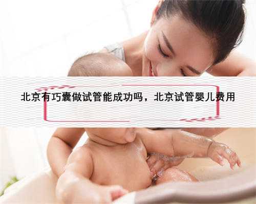 北京有巧囊做试管能成功吗，北京试管婴儿费用